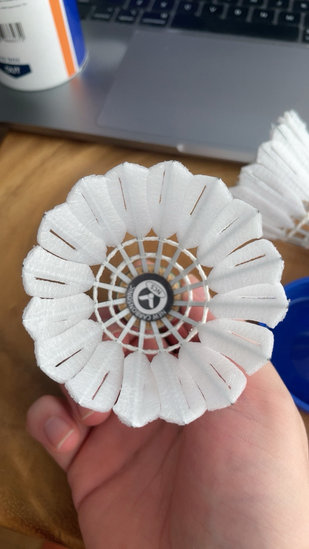 献数次世界 献数次世界